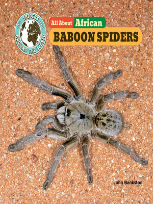 cover image of All About African Baboon Spiders